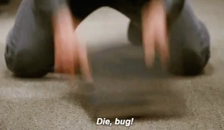 b99_kill_bug