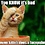 Chris_Schlough