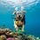 DiveDog