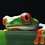 Frogfreak