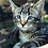 Jared_Boeke