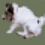 Jeff_Dege