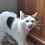 Jeffrey_Hulbert