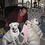 Scott_Doerner